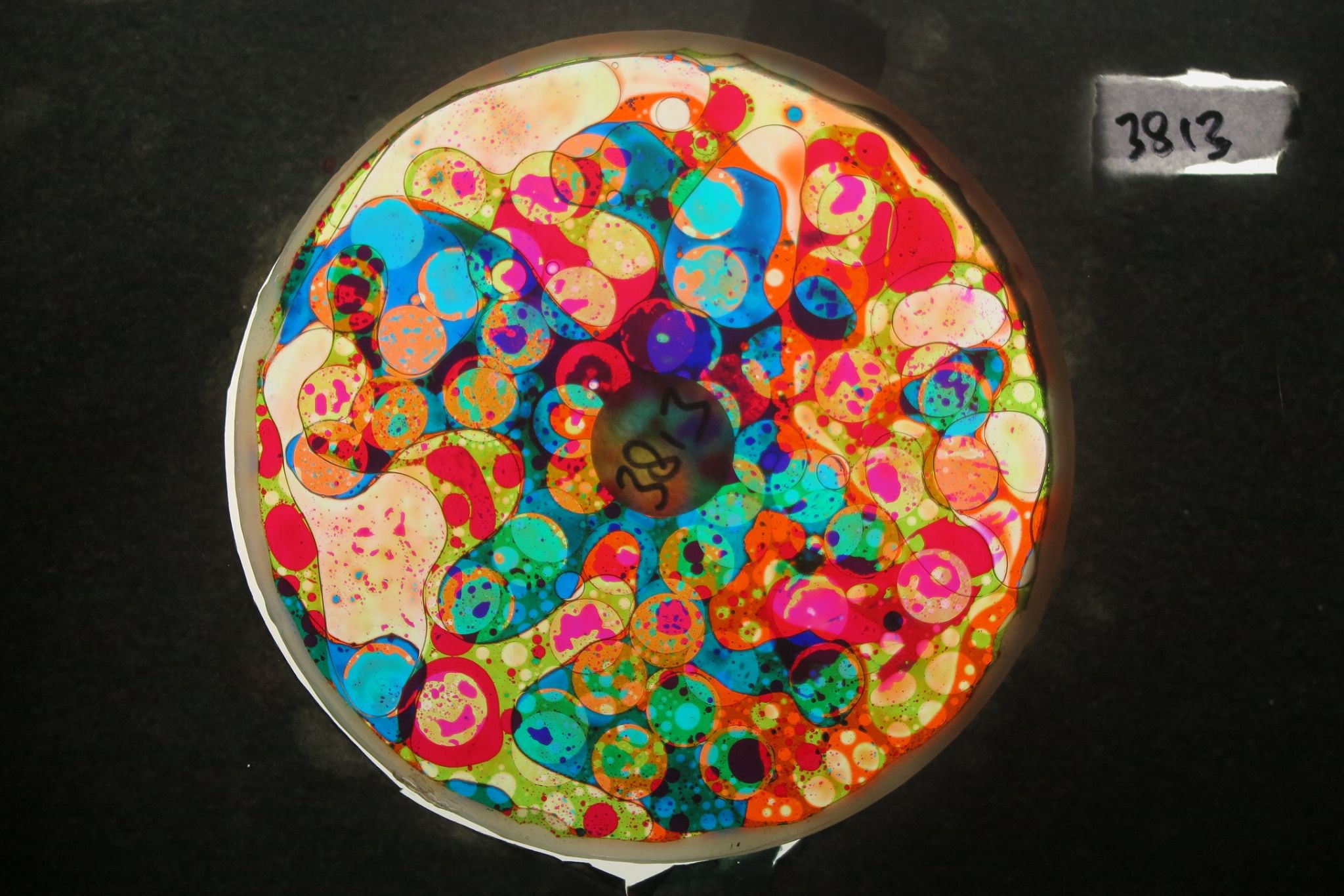 BV3813 bubble vision oil wheel